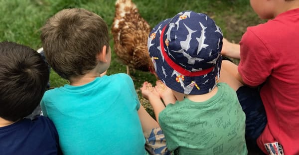 Bath City Farm