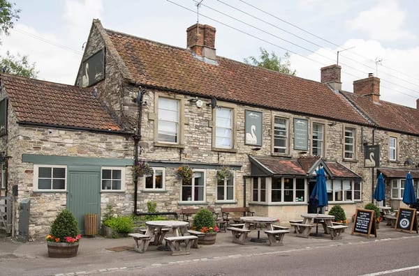 The Swan