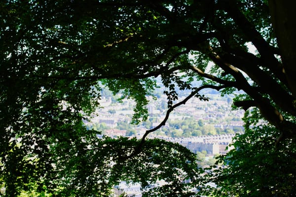 Alexandra Park