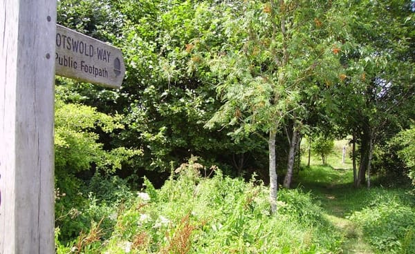 Four Country Walks