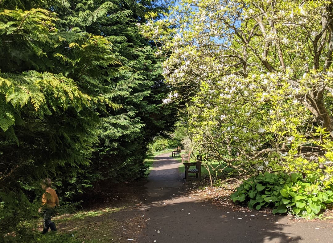 Royal Victoria Park - image 1