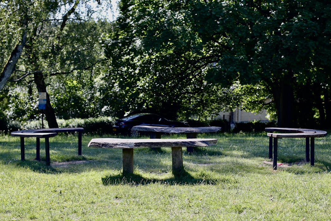 Alexandra Park Playground - image 4