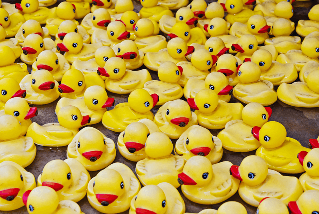 Christian Malford Duck Race