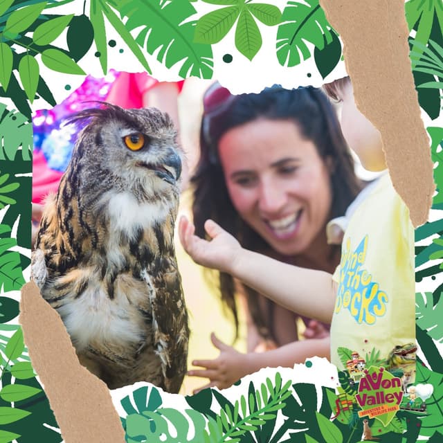 Avon Valley Adventure & Wildlife Park